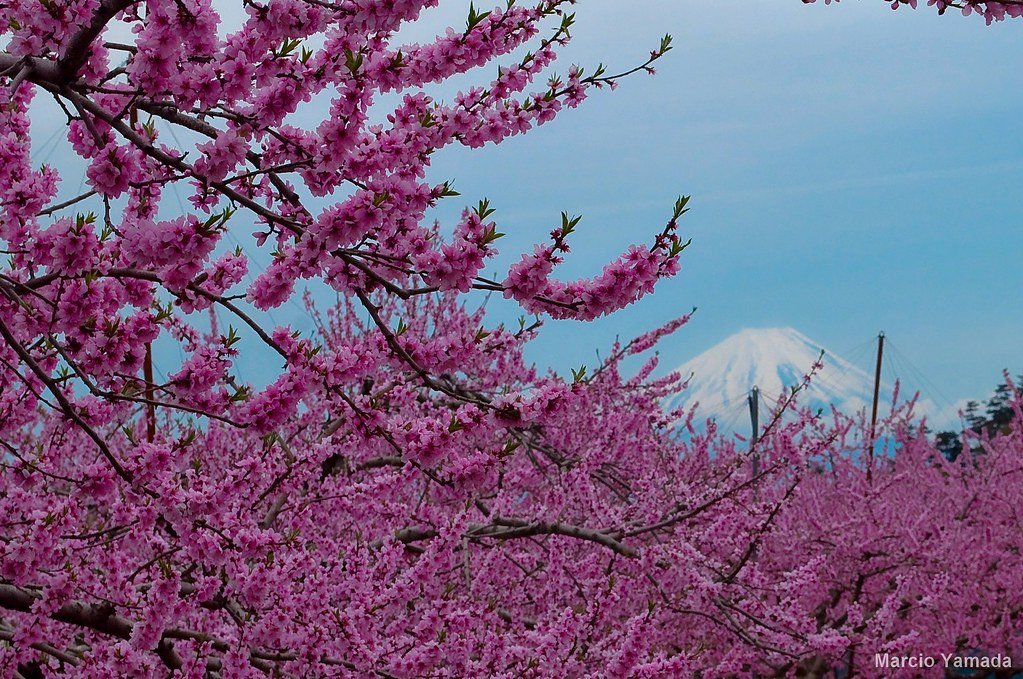 🏯 신푸 성터 이미지 9